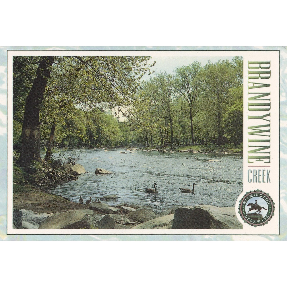 Brandywine Creek Wilmington Delaware Postcard Vintage Scenic Nature HPS